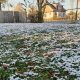 Diciembre del 2023 está por terminar como el segundo menos nevado de la historia en Detroit.
