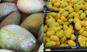 Estados Unidos suspendió las inspecciones de aguacates y mangos en México por un problema de seguridad.
