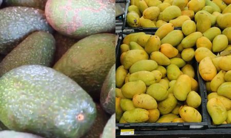 Estados Unidos suspendió las inspecciones de aguacates y mangos en México por un problema de seguridad.