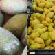 Estados Unidos suspendió las inspecciones de aguacates y mangos en México por un problema de seguridad.