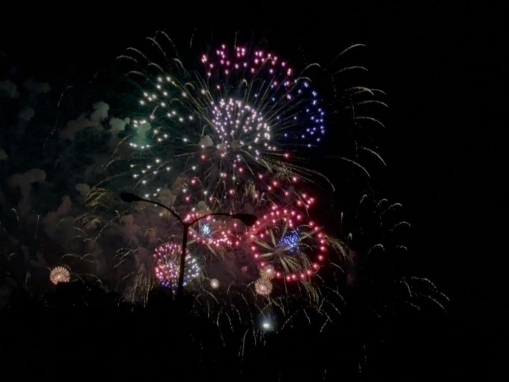 Los fuegos artificiales del 4 de julio pueden ser molestos para los perros, debido al sonido.