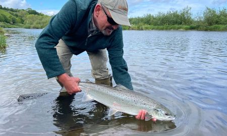 Michigan DNR se vio obligado a sacrificar a más de 31 mil salmones, debido a una enfermedad bacteriana.