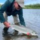 Michigan DNR se vio obligado a sacrificar a más de 31 mil salmones, debido a una enfermedad bacteriana.