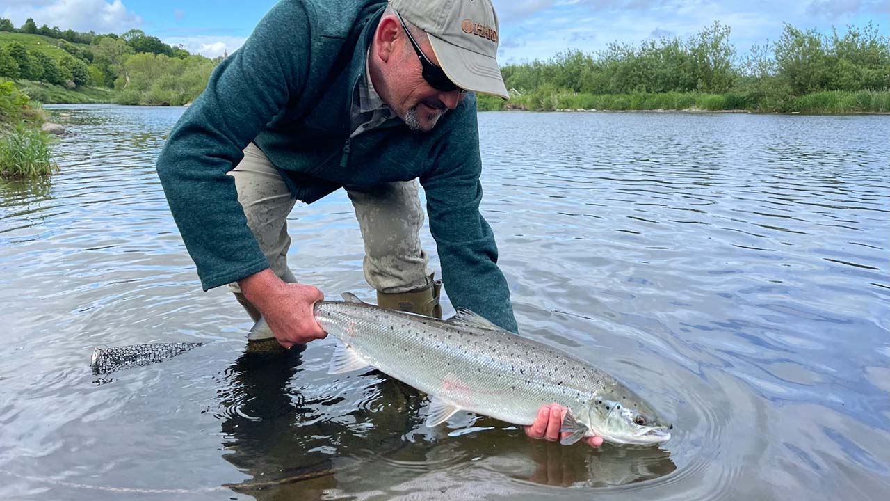 Michigan DNR se vio obligado a sacrificar a más de 31 mil salmones, debido a una enfermedad bacteriana.
