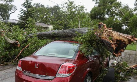 Un tornado en Livonia, Michigan, en Metro Detroit, provocó la muerte de un niño, ante la caía de un árbol.
