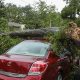 Un tornado en Livonia, Michigan, en Metro Detroit, provocó la muerte de un niño, ante la caía de un árbol.