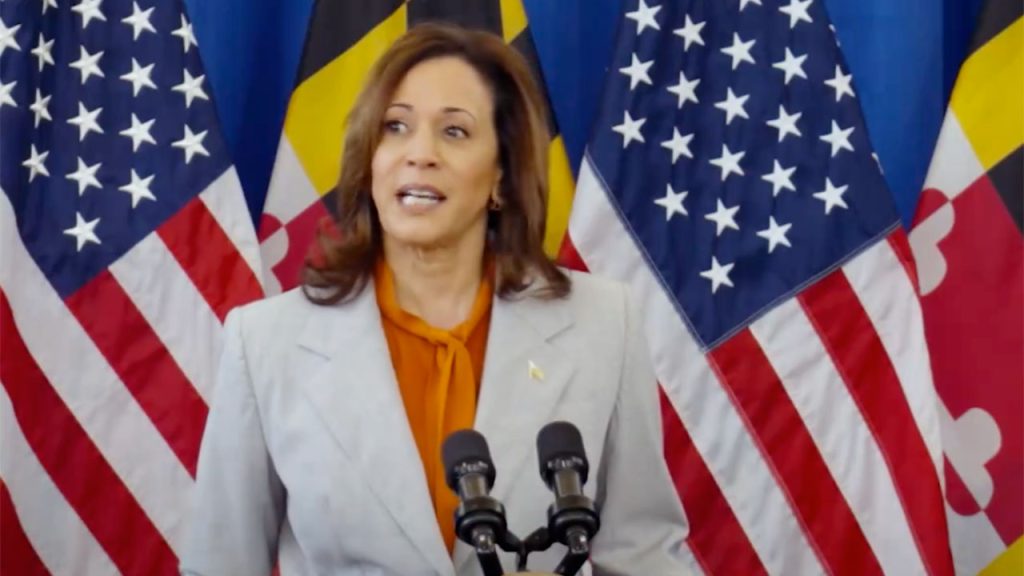 Kamala Harris busca ser la candidata presidencial del Partido Demócrata para las elecciones federales 2024.
