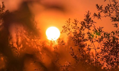 El sureste de Michigan se encuentra bajo aviso de calor intenso, ante las altas temperaturas y humedad.