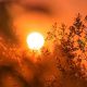 El sureste de Michigan se encuentra bajo aviso de calor intenso, ante las altas temperaturas y humedad.