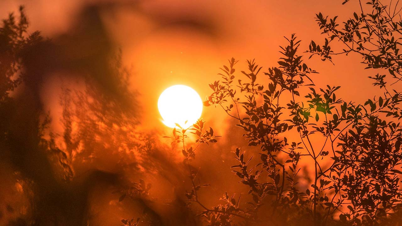 El sureste de Michigan se encuentra bajo aviso de calor intenso, ante las altas temperaturas y humedad.