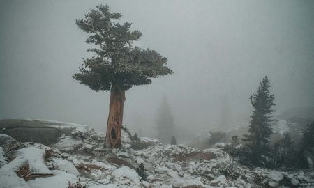 Las montañas de California experimentaron una nevada en pleno mes de agosto, debido a un frente frío.