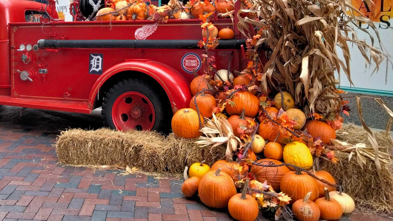 Este fin de semana Metro Detroit disfrutará el Romulus Pumpkin Festival 2024.