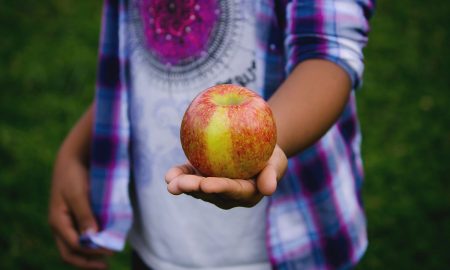 En uno de los parques de Detroit se puede recolectar manzanas de forma gratuita.