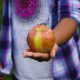 En uno de los parques de Detroit se puede recolectar manzanas de forma gratuita.