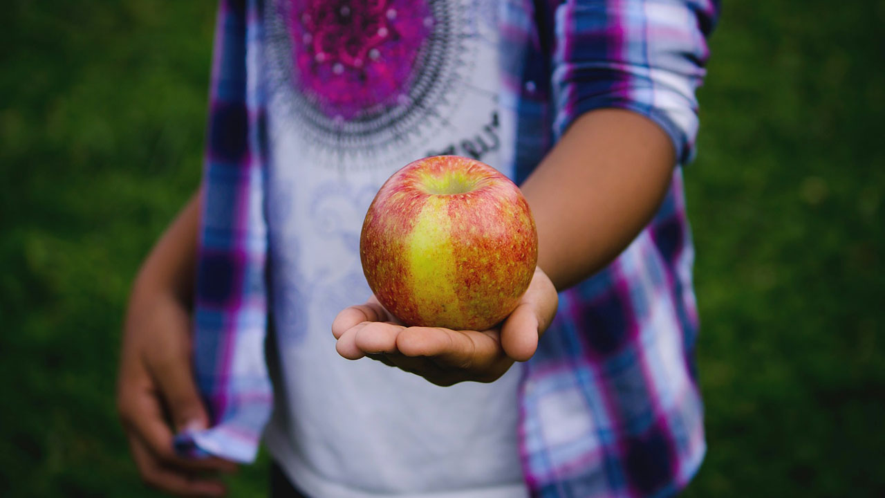 En uno de los parques de Detroit se puede recolectar manzanas de forma gratuita.