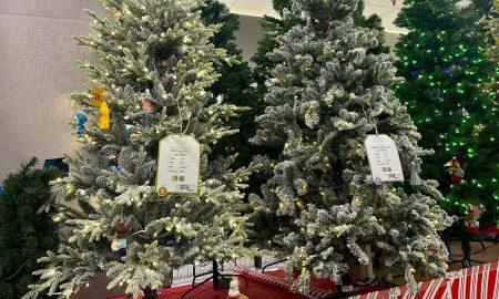 Existen algunos consejos para comprar adornos navideños sin dañar la economía.