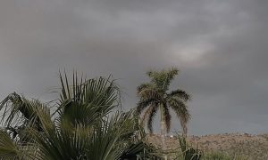 El ciclón tropical Chido arrasó con la Isla Mayotte, perteneciente a territorio francés.