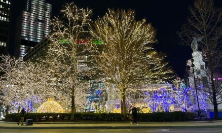 Metro Detroit cuenta con varios lugares para ver luces navideñas de forma gratuita.