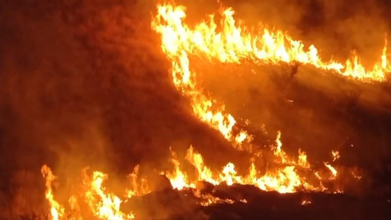 Los incendios forestales registrados en el condado de Los Ángeles, en California, han provocado muertes y han quemado decenas de miles de acres.