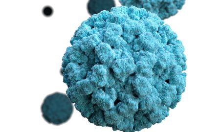 Michigan ha registrado un alto número de casos de norovirus en las últimas semanas.