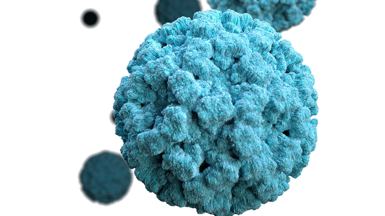 Michigan ha registrado un alto número de casos de norovirus en las últimas semanas.