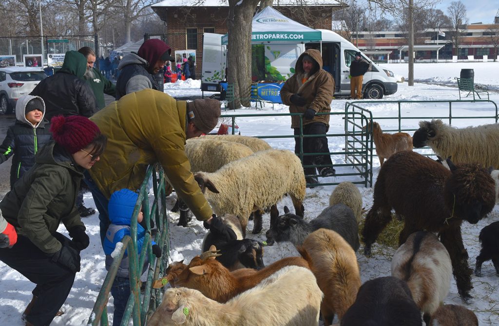La granja de animales forma parte de las atracciones del Winter Carnival.