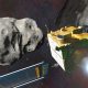 El asteroide 2024 YR4 tiene casi el 2% de probabilidades de impactar la Tierra en el 2032.