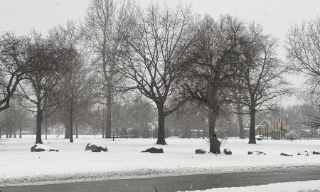 Metro Detroit y gran parte de Michigan esperan nevadas durante este fin de semana.