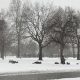 Metro Detroit y gran parte de Michigan esperan nevadas durante este fin de semana.