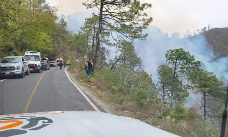 12 personas fallecieron en un accidente en una carretera de Nuevo León, cuando una camioneta tipo van cayó al barranco.
