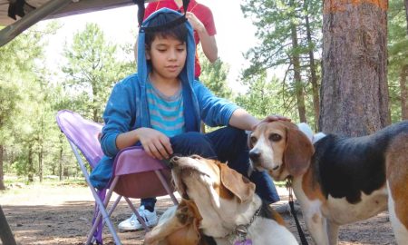 Ideas para aprovechar la llegada de la primavera con tu mascota, tras los fríos meses del invierno.