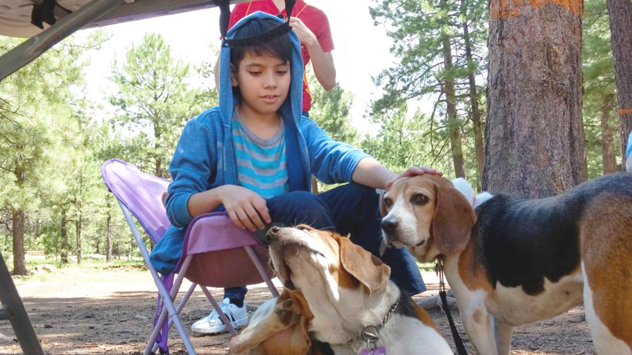 Ideas para aprovechar la llegada de la primavera con tu mascota, tras los fríos meses del invierno.