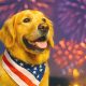 Consejos y trucos para que tu perro esté tranquilo durante los fuegos artificiales del 4 de julio.