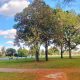 El Rouge Park, el parque más grande de Detroit, tendrá un evento para celebrar sus 100 años.
