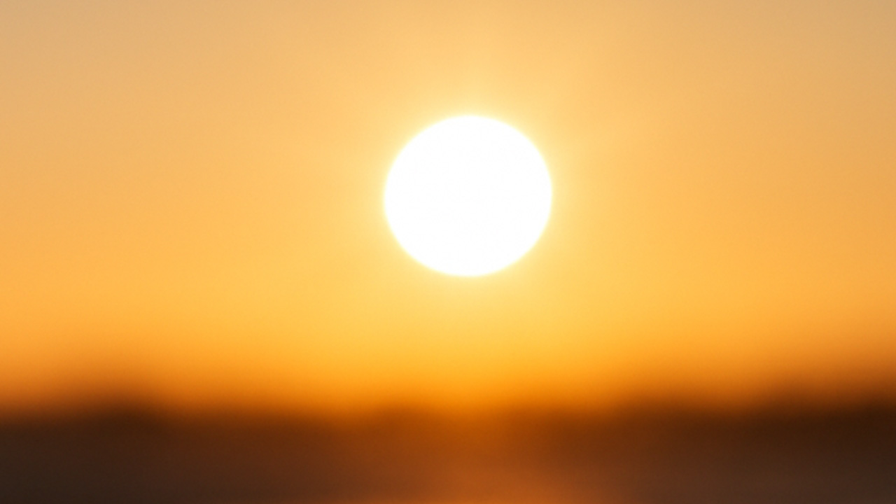Metro Detroit en advertencia por calor extremo.