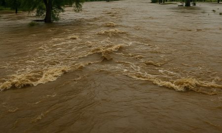 Las inundaciones por las fuertes lluvias en Texas han provocado más de 80 muertes.