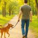 Las últimas semanas del verano deben aprovecharse al máximo para disfrutarlas con tu mascota al aire libre.