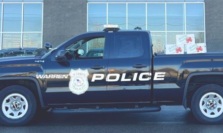 Una mujer de Lake Orion enfrenta 18 cargos tras atropellar presuntamente de forma intencional a 11 personas en distintas ciudades de Metro Detroit.