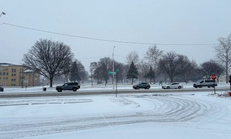 Metro Detroit cubierto de nieve.