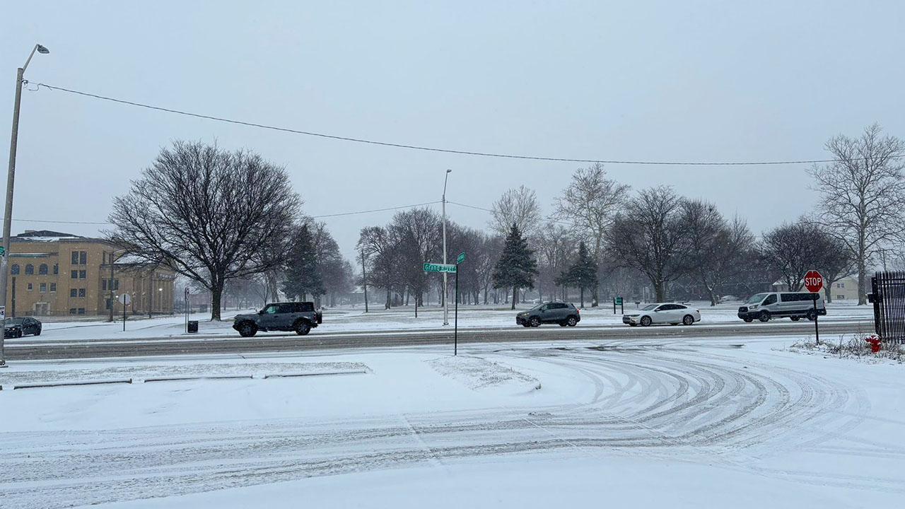 Metro Detroit cubierto de nieve.