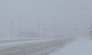 Un accidente entre múltiples vehículos se registró en la autopista I-75 de Detroit durante una ráfaga de nieve intensa.