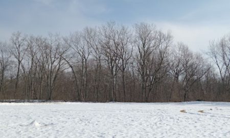 El derretimiento de la nieve provocó una mala calidad del aire en Detroit y el sureste de Michigan.