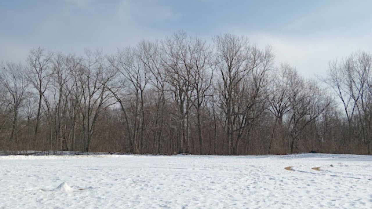 El derretimiento de la nieve provocó una mala calidad del aire en Detroit y el sureste de Michigan.