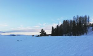 Los Juegos Olímpicos de Invierno Milán-Cortina 2026 se celebran del 6 al 22 de febrero, con 16 disciplinas.
