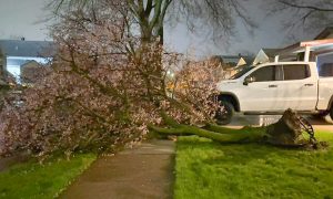 Dos tornados se registraron en el sureste de Michigan, en Melvindale-Lincoln Park, del condado de Wayne, y en Ann Arbor, del condado de Washtenaw.