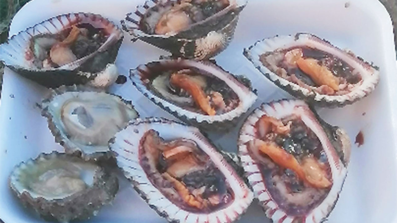 Consejos útiles para comprar, conservar y congelar mariscos antes de disfrutarlos.