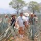 El pueblo mexicano de Tequila, Jalisco, espera una recuperación económica con el Mundial 2026, que tendrá a Guadalajara como una de sus tres sedes mexicanas.