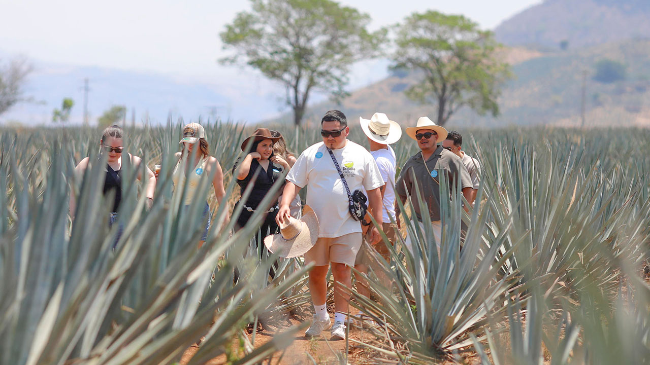 El pueblo mexicano de Tequila, Jalisco, espera una recuperación económica con el Mundial 2026, que tendrá a Guadalajara como una de sus tres sedes mexicanas.