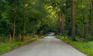 La entrada a los parques estatales de Michigan será gratuita el sábado 13 y domingo 14 de junio con el Three Free Weekend.