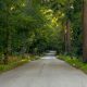 La entrada a los parques estatales de Michigan será gratuita el sábado 13 y domingo 14 de junio con el Three Free Weekend.